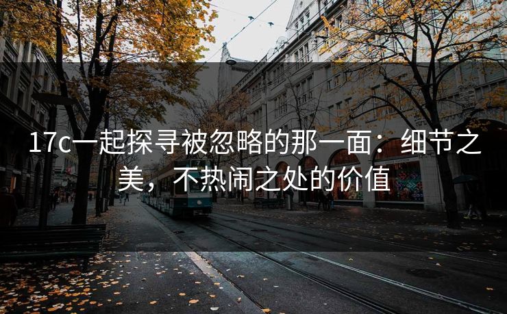 17c一起探寻被忽略的那一面：细节之美，不热闹之处的价值