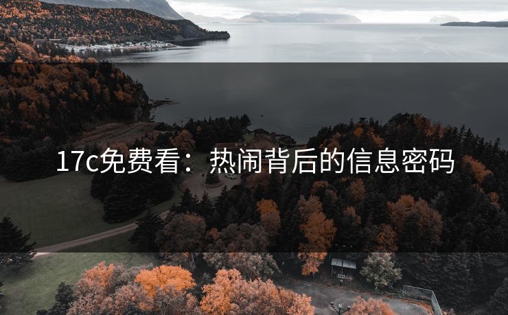 17c免费看：热闹背后的信息密码