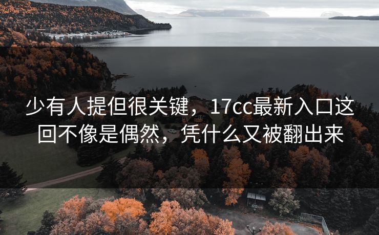 少有人提但很关键，17cc最新入口这回不像是偶然，凭什么又被翻出来