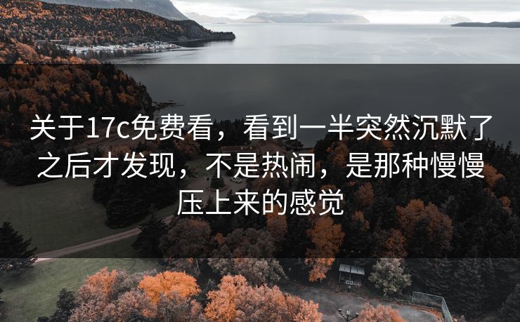 关于17c免费看，看到一半突然沉默了之后才发现，不是热闹，是那种慢慢压上来的感觉