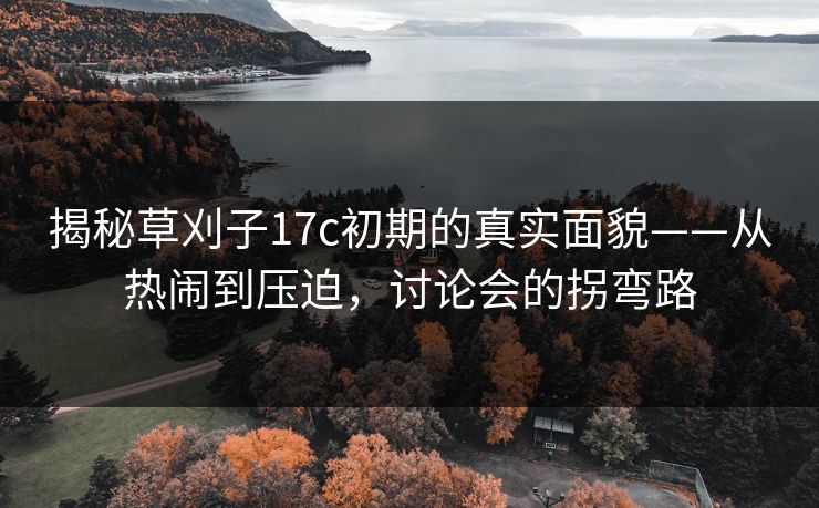 揭秘草刈子17c初期的真实面貌——从热闹到压迫，讨论会的拐弯路