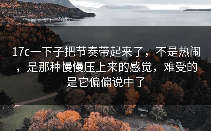 17c一下子把节奏带起来了，不是热闹，是那种慢慢压上来的感觉，难受的是它偏偏说中了