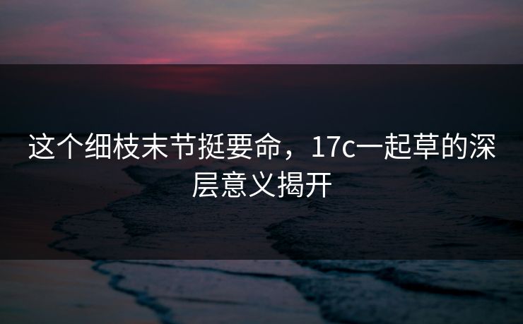 这个细枝末节挺要命，17c一起草的深层意义揭开