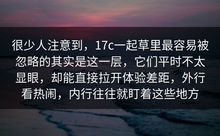 很少人注意到，17c一起草里最容易被忽略的其实是这一层，它们平时不太显眼，却能直接拉开体验差距，外行看热闹，内行往往就盯着这些地方