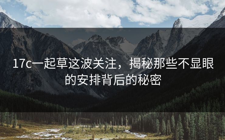 17c一起草这波关注，揭秘那些不显眼的安排背后的秘密