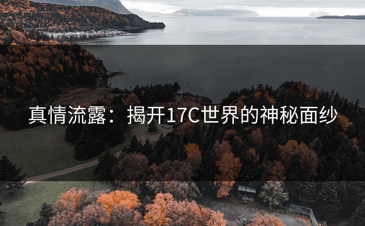 真情流露:揭开17C世界的神秘面纱 真情流露:揭开17C世界的神秘面纱